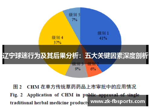 辽宁球迷行为及其后果分析：五大关键因素深度剖析